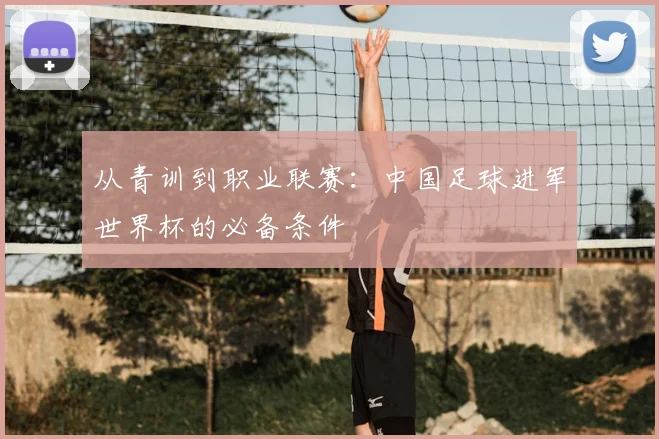 从青训到职业联赛：中国足球进军世界杯的必备条件