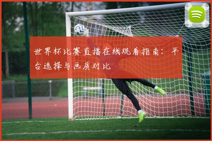 世界杯比赛直播在线观看指南：平台选择与画质对比