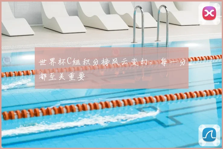 世界杯C组积分榜风云变幻，每一分都至关重要